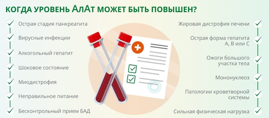 Аланинаминотрансфераза (АЛТ)