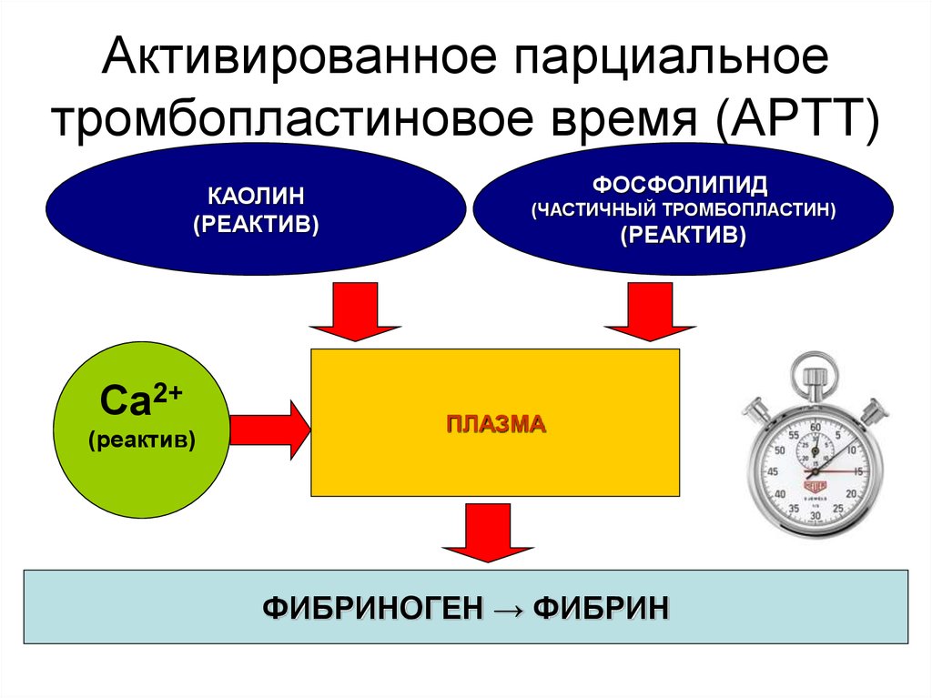 Активированное частичное тромбопластиновое время
